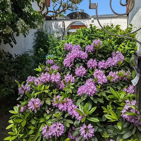 Vintage Charm With Comfort * Bernkastel-Kues