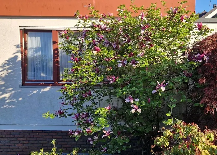 Vintage Charm With Comfort *