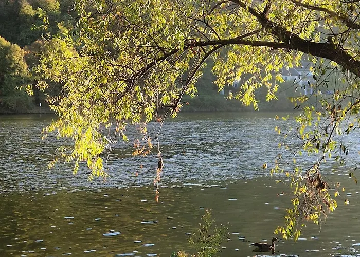 Casa de Férias Vintage Charm With Comfort